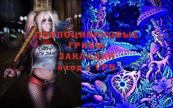 ECSTASY Бугульма