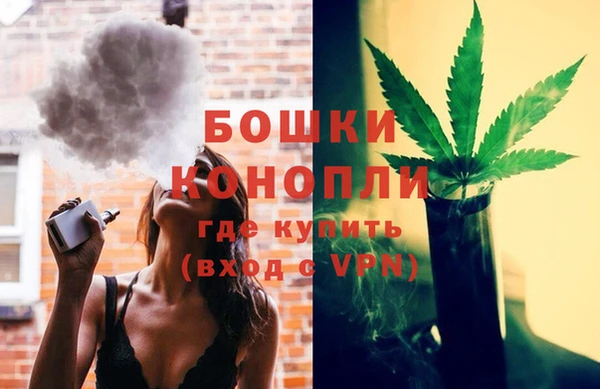 бошки Бородино