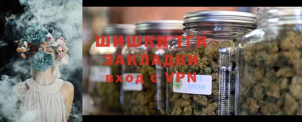 бошки Бородино