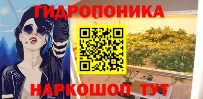 хмурый Гусь-Хрустальный