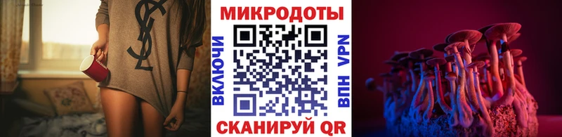 Псилоцибиновые грибы MAGIC MUSHROOMS  где можно купить   Гудермес 