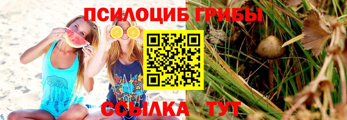 Галлюциногенные грибы прущие грибы  что такое наркотик  Гудермес  Вход с VPN 